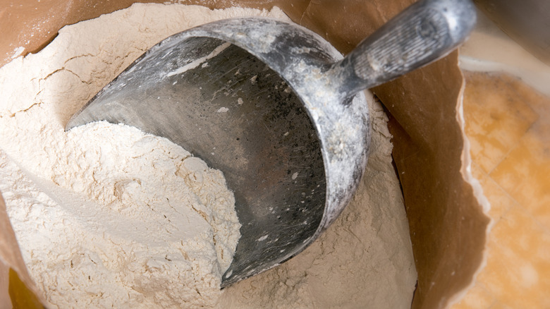 A bag of flour with a scooper