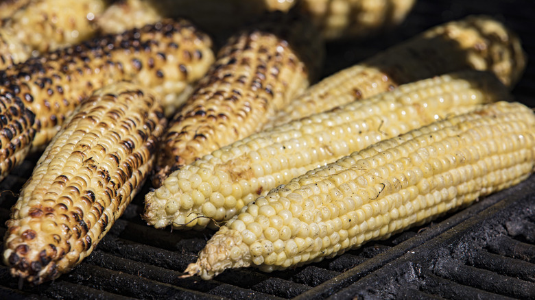 Grilled corn resting on a grill