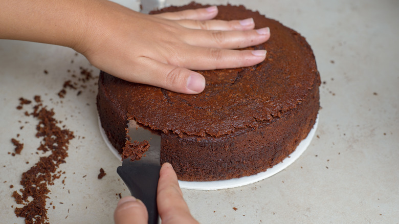 A person slicing through the top of a cake horizontally with a serrated knife