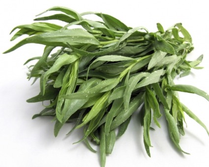 Tarragon Chicken Salad with Creamy Blue Cheese Dresssing