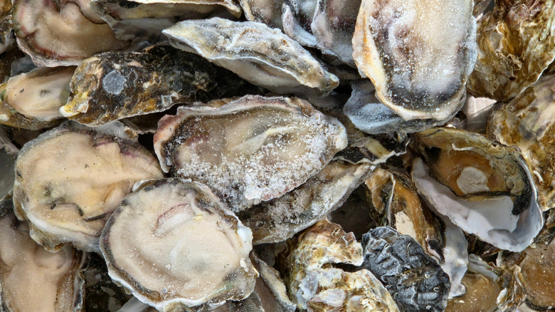 overhead shot of a pile of freshly shucked oysters