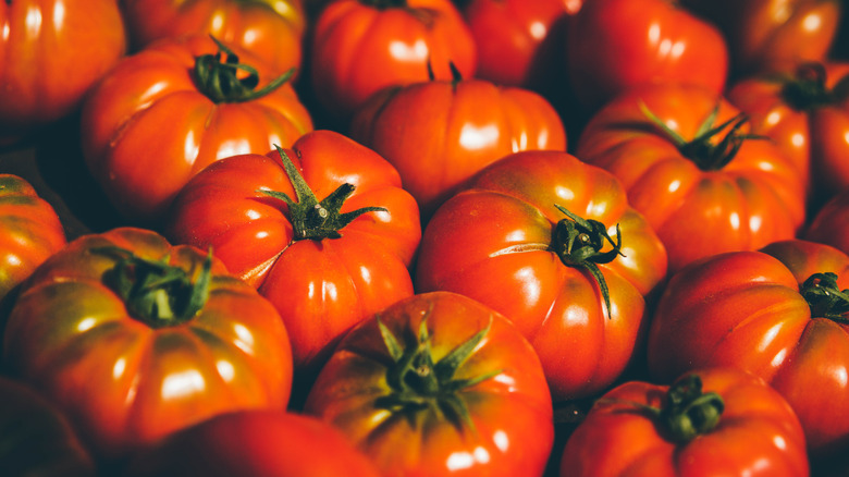 close-up shot of beautiful ripe red heirloom tomatoes