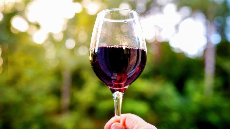 A hand holds a wine glass by its stem