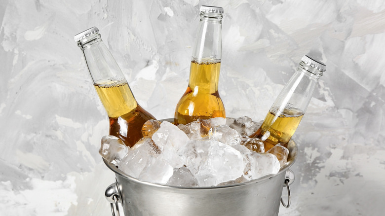 Bottles of beer in a bucket of ice