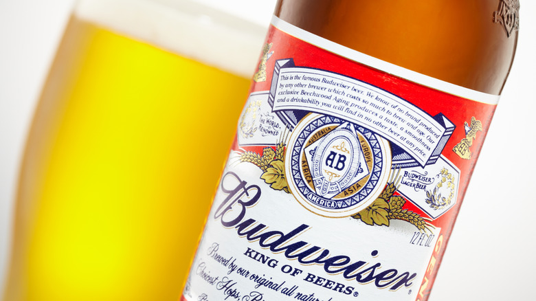 Bottles of Budweiser are seen resting on ice