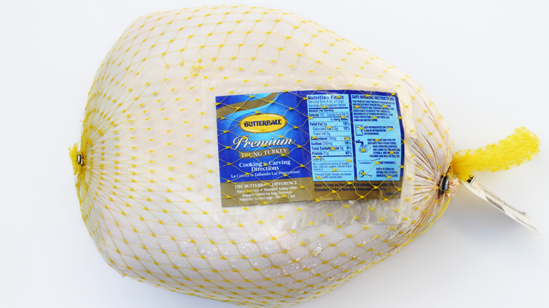 A large frozen turkey isolated against a white background