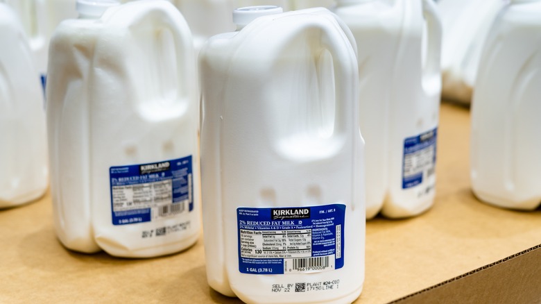 Jugs of Kirkland Signature milk