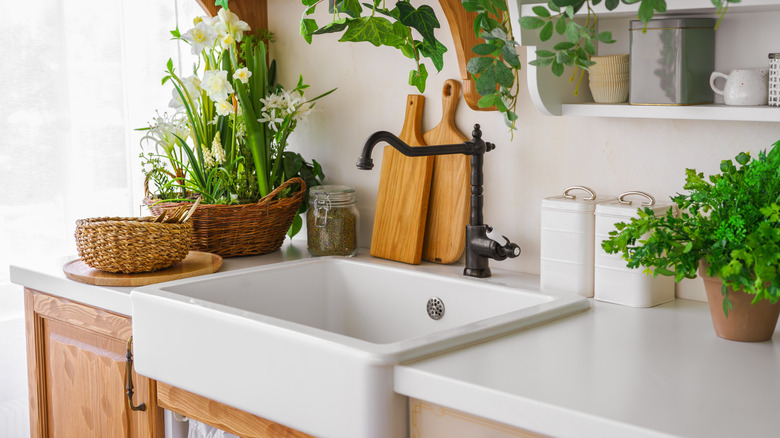 White basin sink with black fixtures, surrounded by plants.