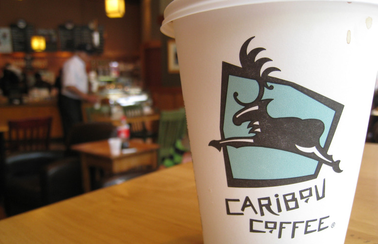 Caribou Coffee Wild Caramel Apple