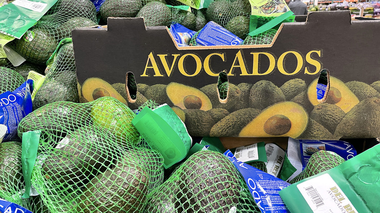 Avocados on display at Costco