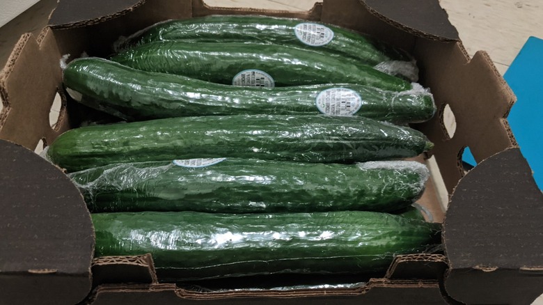 A box of Costco cucumbers