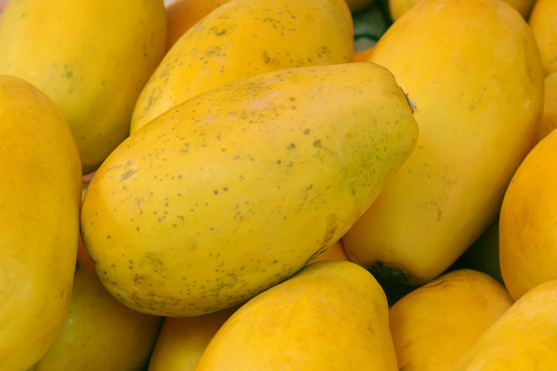 2.Genetically Engineered Papaya