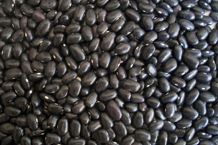 Black Beans