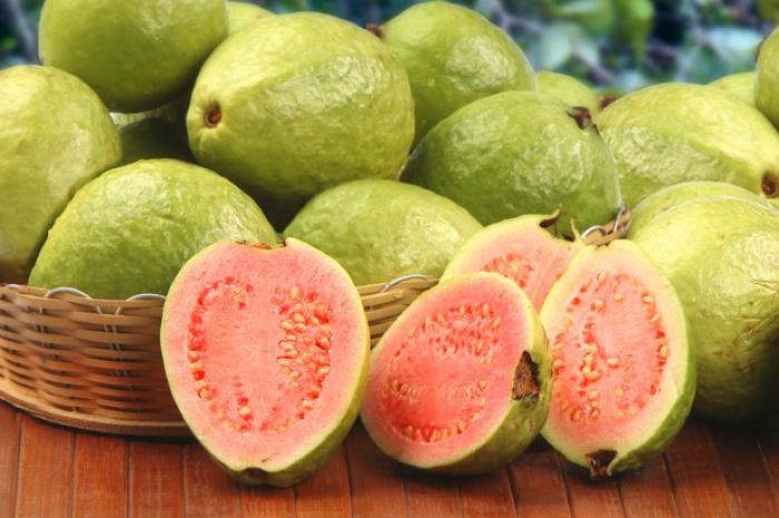 Guava