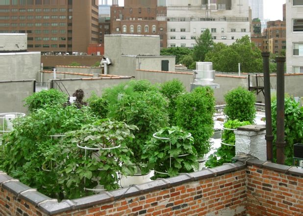 Bell Book & Candle: New York, N.Y.
