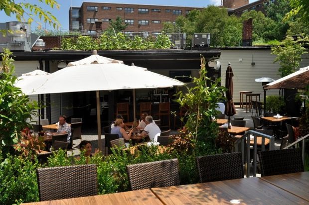 Ledge Kitchen and Drinks: Dorchester, Mass.