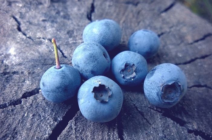 Blueberries