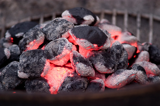 Type of Charcoal
