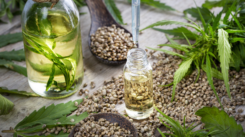 Hemp seeds, glass bottles of hempseed oil, and plant leaves arranged on a wooden table.
