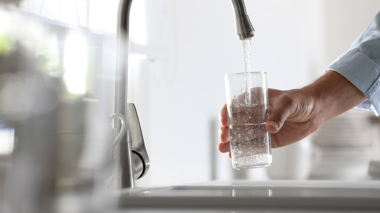 Person getting glass of water from sink