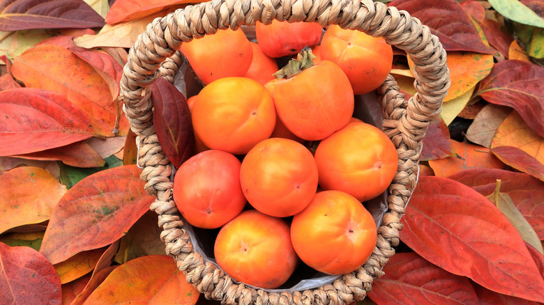A basket full of persimmons placed on autumn leaves