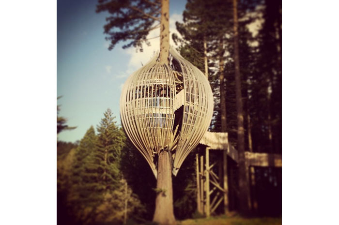 The Redwoods Treehouse (Auckland, New Zealand)