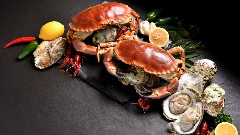 Crab and oysters on black background