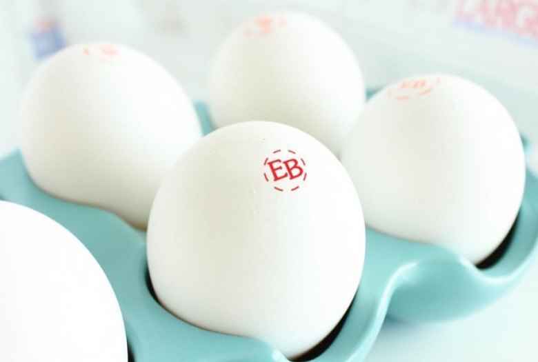 10 Meals in 30 Minutes or Less