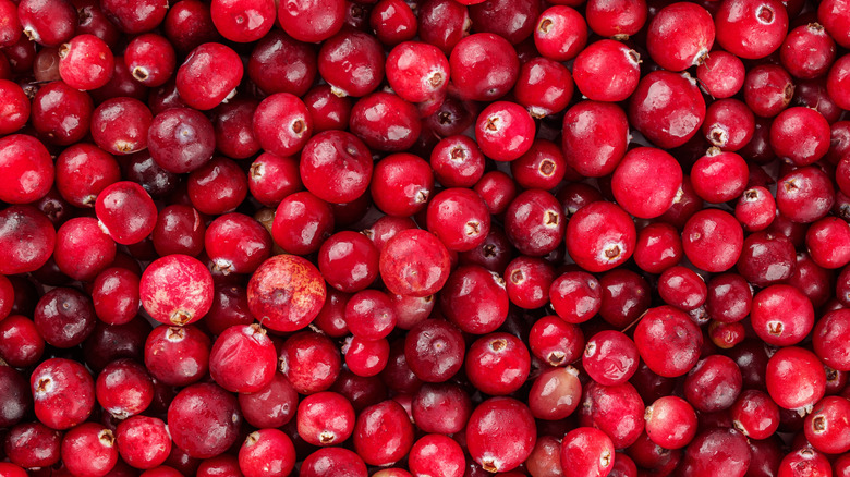 Closeup of some cranberries