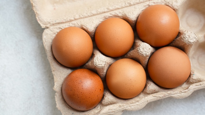 Six brown eggs in a cardboard egg container