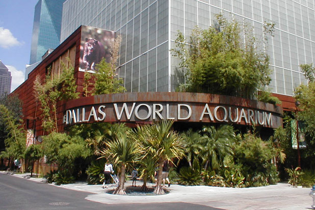 10. Southwest Securities Group  