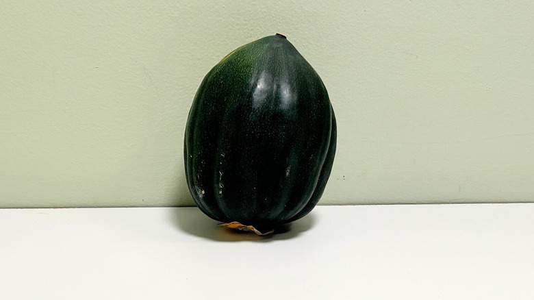 A green acorn squash against a green and white background