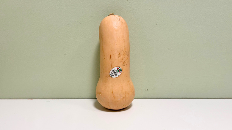 A butternut squash against a green and white background