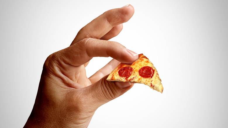 A hand holding a tiny piece of pizza