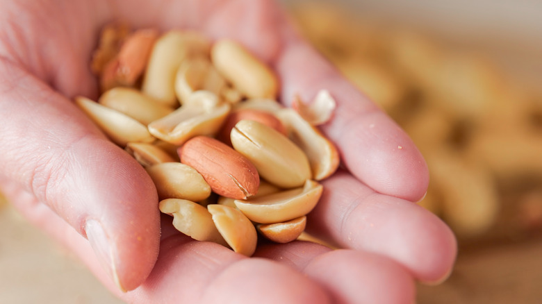 A hand holds a handful of shelled peanuts