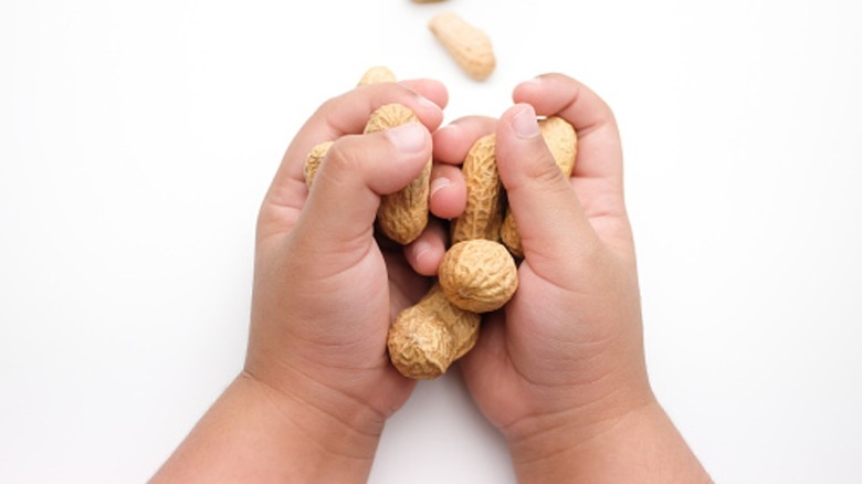 A child's hands hold peanuts