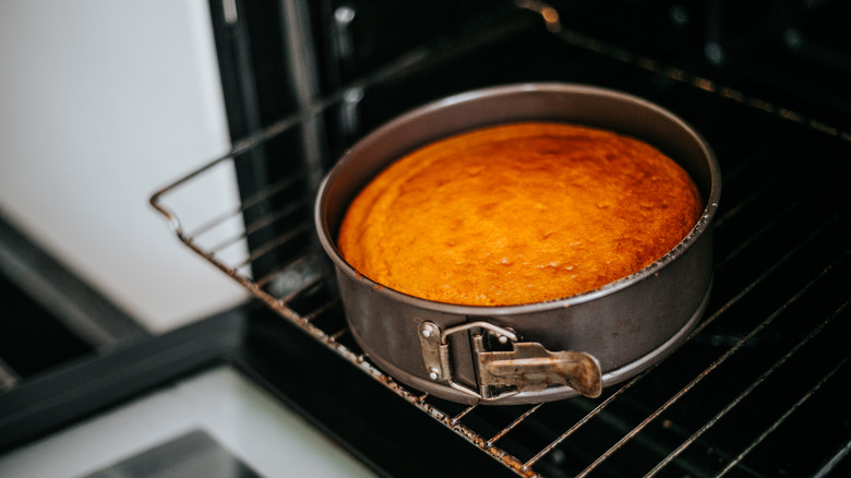 A sponge cake being pulled from the oven