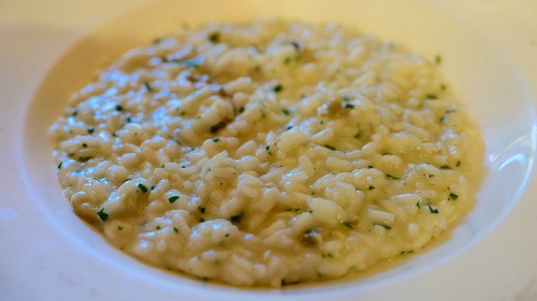Close up of a bowl of risotto di gò