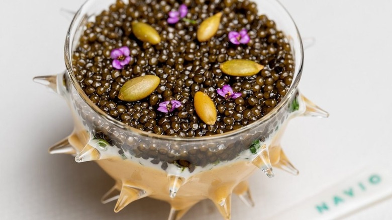 A close up of a dish of caviar with fancy garnishes served in a sea shell glass at Navio Half Moon Bay
