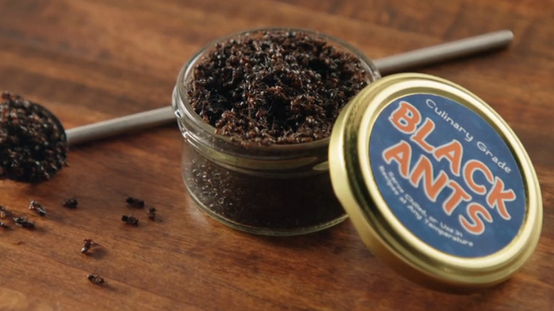 Culinary grade black ants on "Chopped"