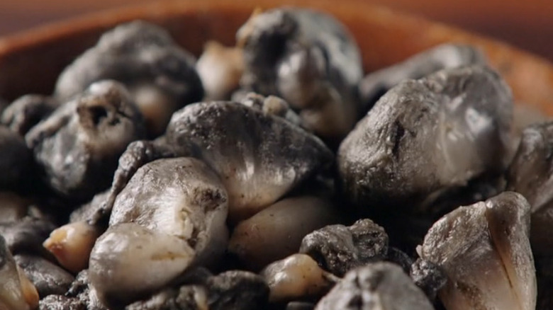 Huitlacoche as a secret ingredient on "Chopped"
