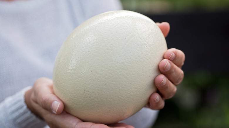 Woman holding an ostrich egg