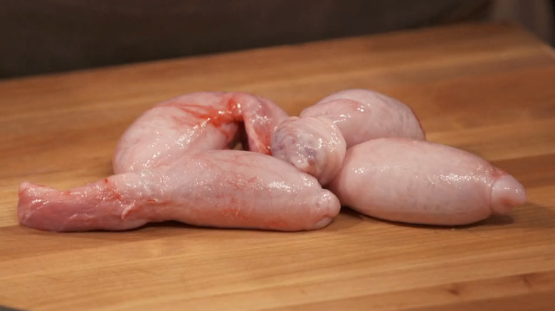 Rocky Mountain oysters on "Chopped"