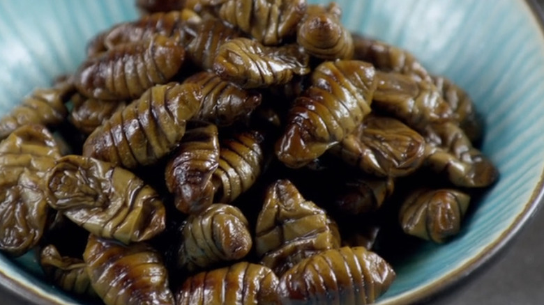 Weird ingredients on Food Network's "Chopped" silkworm pupa