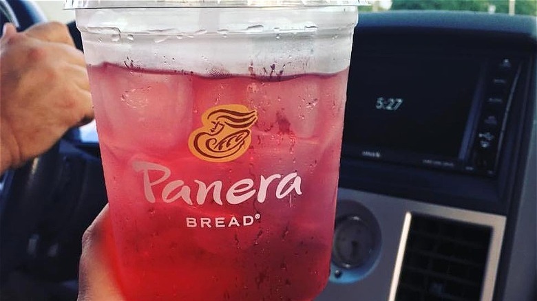 Plum Ginger Hibiscus Tea