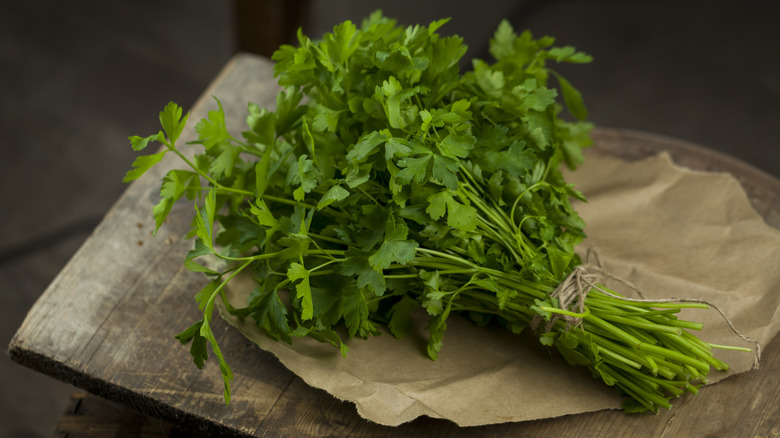 Sprigs of parsley on table