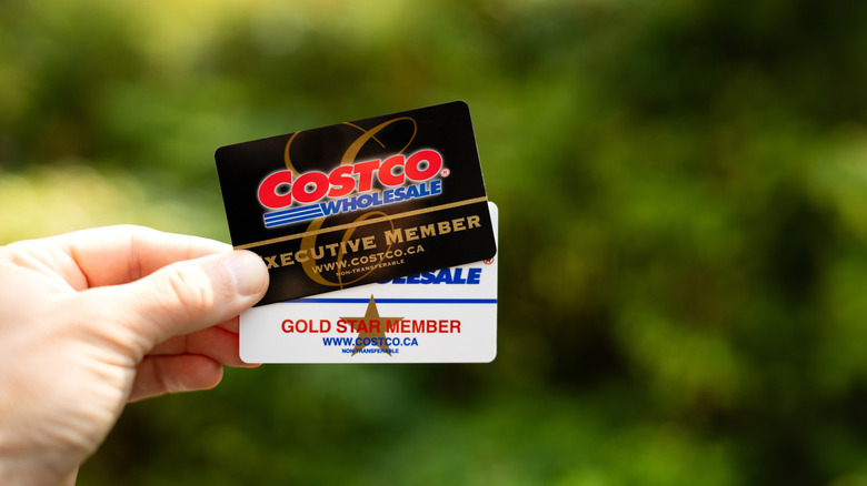 A hand holds a pair of Costco membership cards, including an Executive Membership card