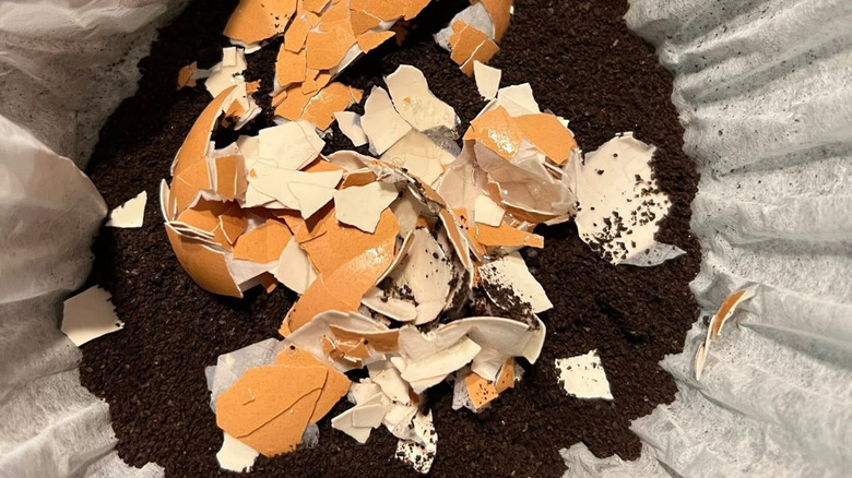 Overhead view of a coffee filter filled with grounds and crushed eggshells