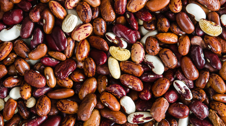 A mixture of different kinds of dried beans