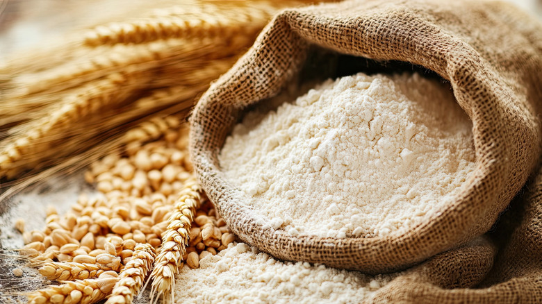 Wheat flour in a bag, with fresh wheat next to it